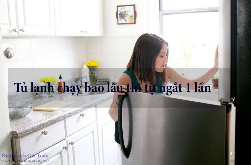 tu lanh chay bao lau thi tu ngat 1 lan 1 | Điện Lạnh Quý Nhân