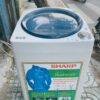 may giat cu sharp 8kg moi 95 60fe96b678ea2 | Điện Lạnh Quý Nhân