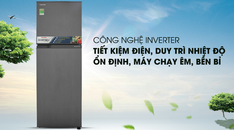 Tiết kiệm điện hơn với công nghệ Inverter - Tủ lạnh Toshiba Inverter 233 lít GR-A28VS (DS)